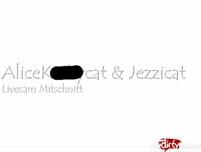Livecam Mitschnitt_Scherenkatzen