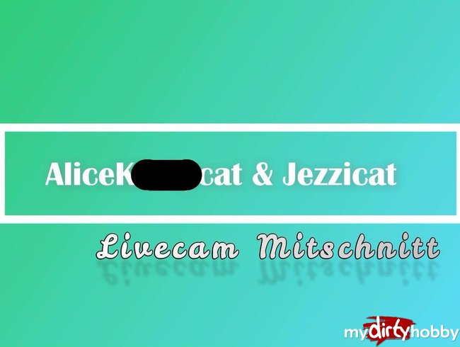 Livecam Mitschnitt_RimmCats